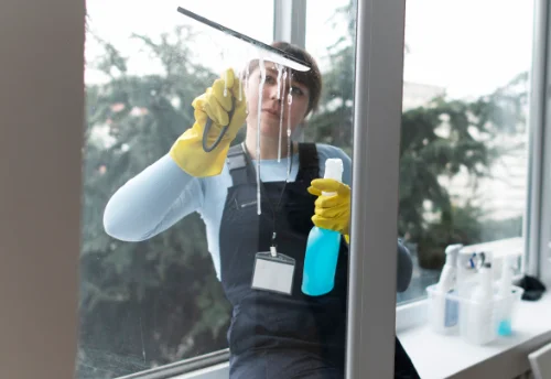 Nettoyage de vitres intérieures et extérieures à Garigny